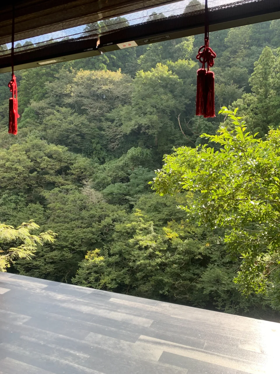 🍂🌿 秋の香りに包まれて、心安らぐひとときを。